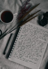 Novel Writing